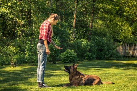 Junge Frau gibt Hund ein Platz-Kommando auf einer Wiese.